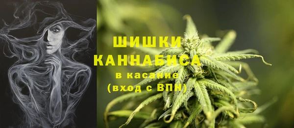 COCAINE Богородицк