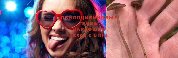 COCAINE Богородицк