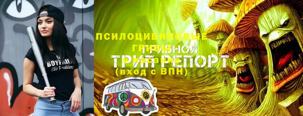 ПСИЛОЦИБИНОВЫЕ ГРИБЫ Богданович