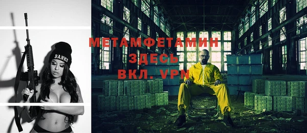 ПСИЛОЦИБИНОВЫЕ ГРИБЫ Богданович