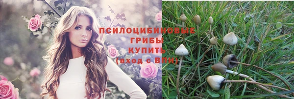 спиды Белоозёрский
