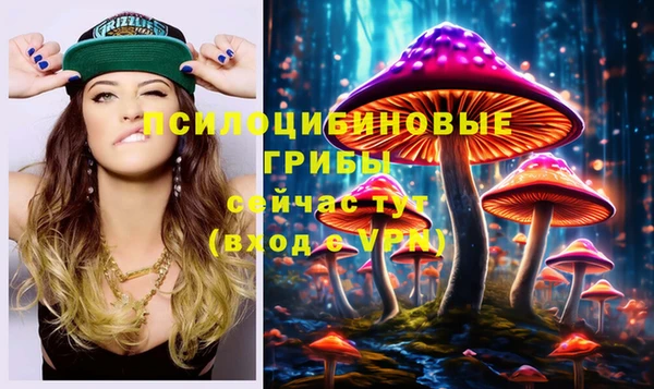 ПСИЛОЦИБИНОВЫЕ ГРИБЫ Богданович