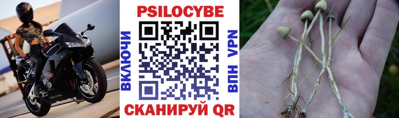 Галлюциногенные грибы мухоморы  Венёв 