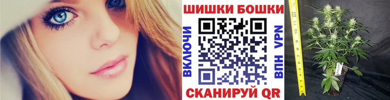 МАРИХУАНА гибрид  Венёв 